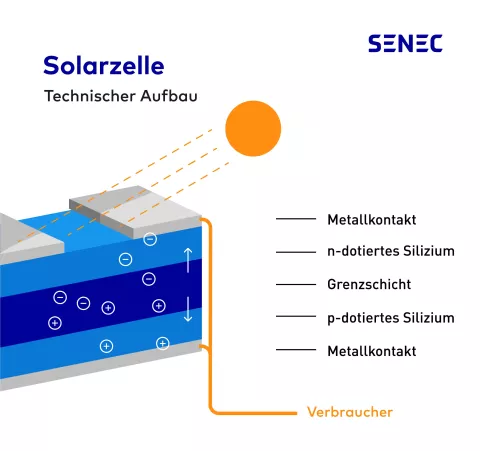 Die Grafik zeigt, wie eine Solarzelle funktioniert und was in der Zelle passiert.
